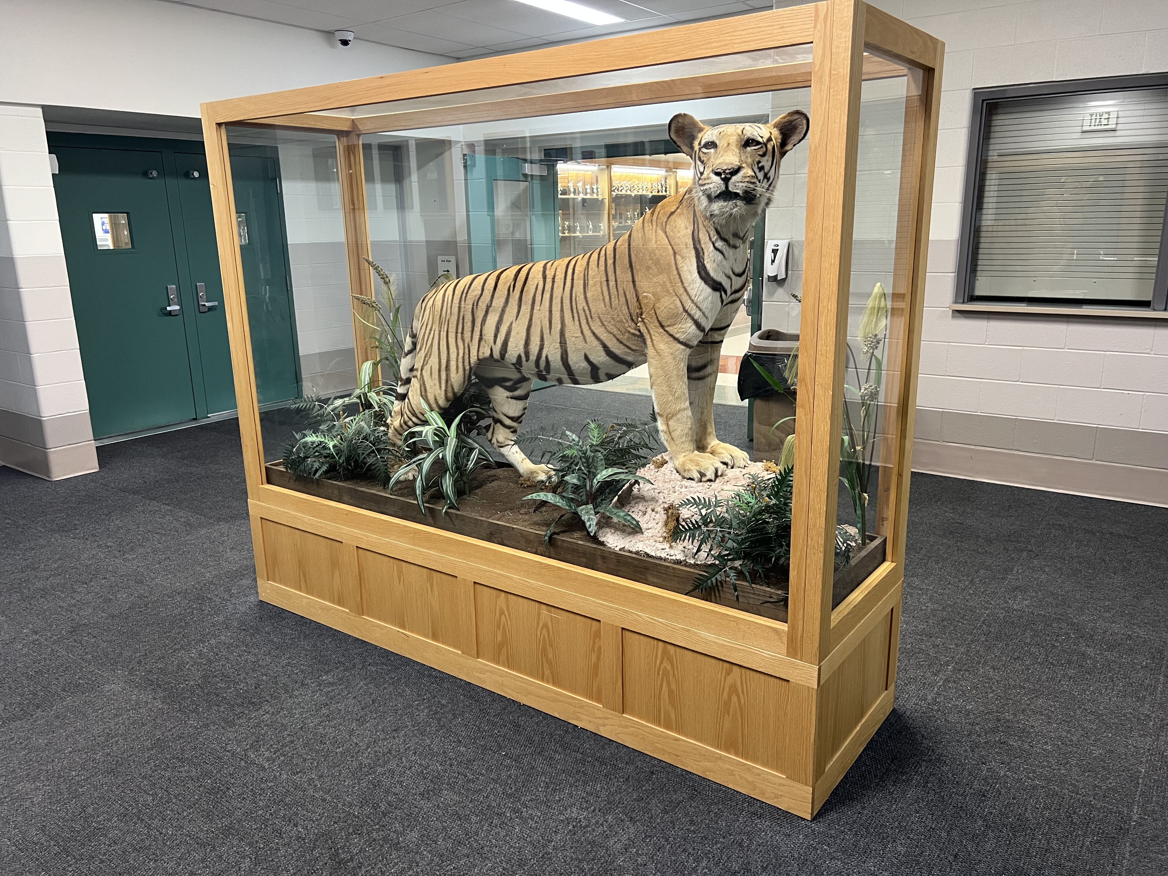 Lander Valley High School